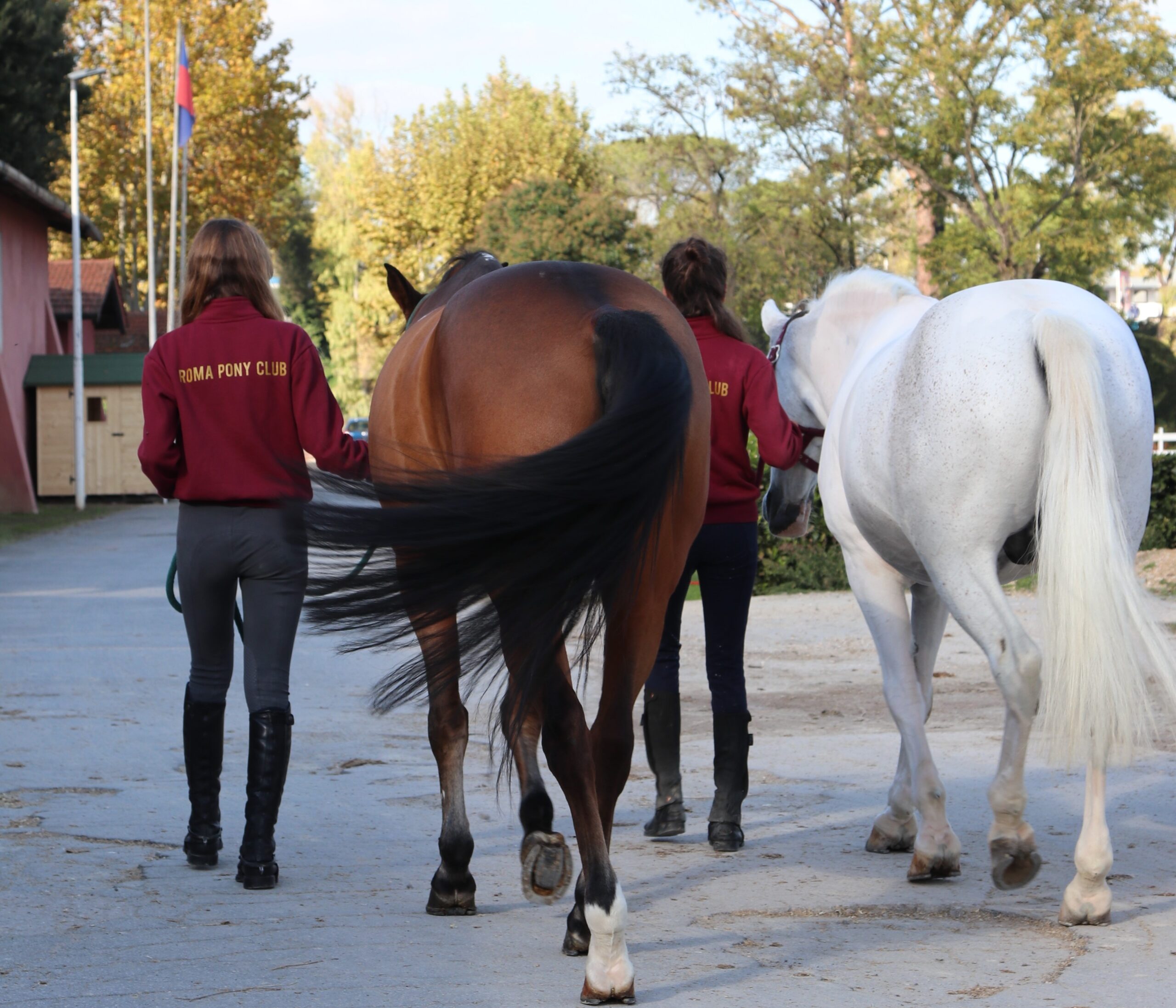 Scuola Pony n.3