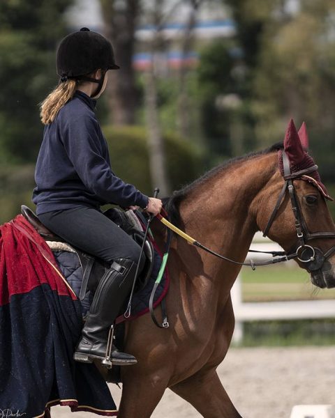 Scuola Pony